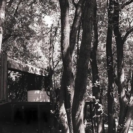 Il Capanno Di Eco Luxury tent *